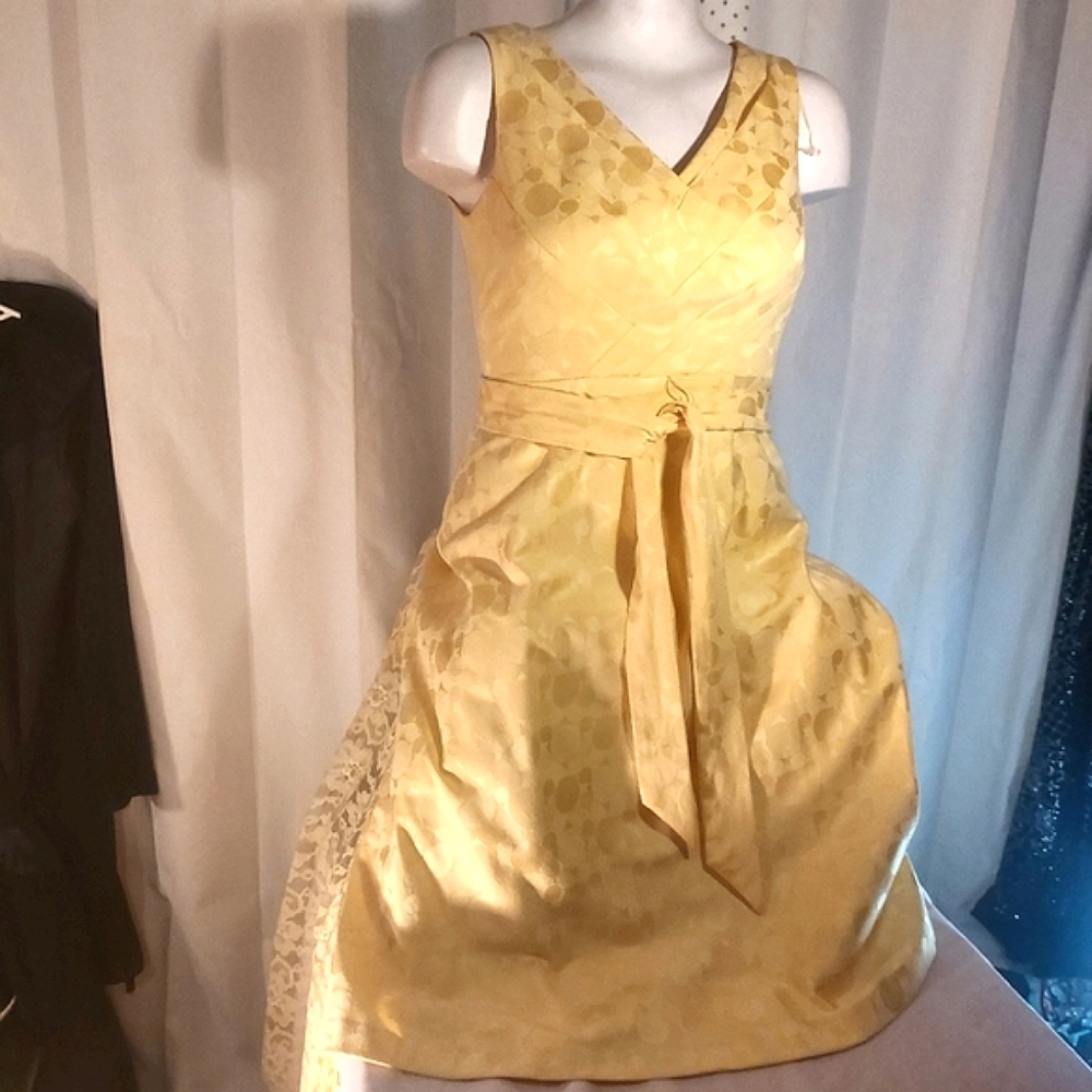 ROBBIE BEE DRESS 👗 SZ 6